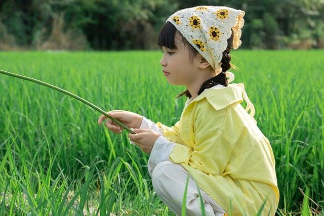 信用小白辦信貸會過嗎？