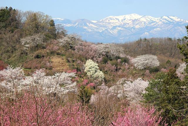 雪芙蘭養護洗髮精哪裡有賣？
