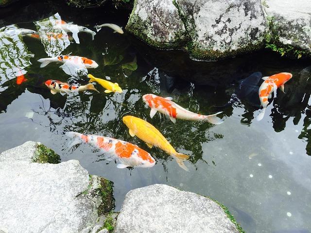 福岡適合去幾天？