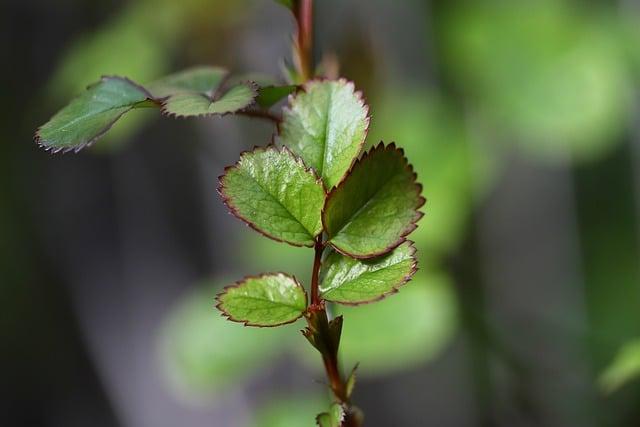 紐西蘭幾月去最好？