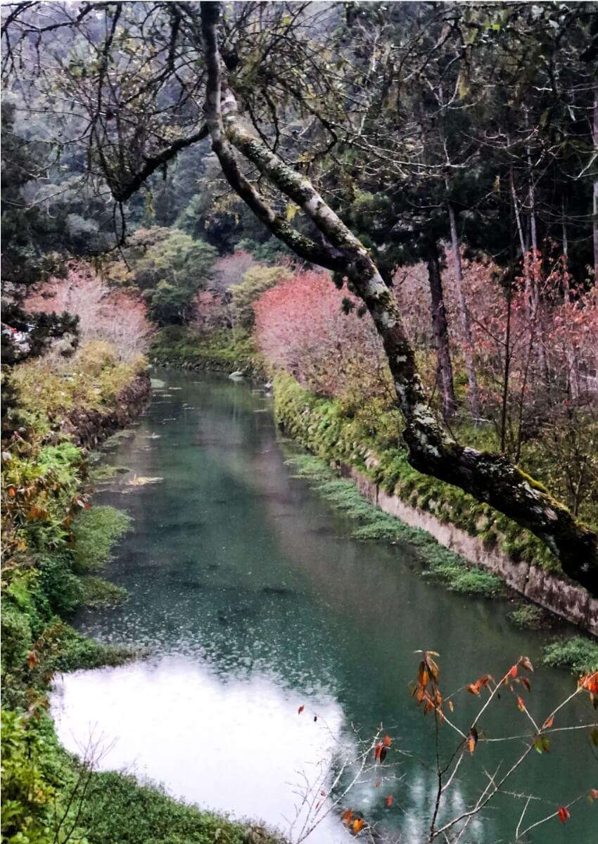 杉林溪幾月去最好？