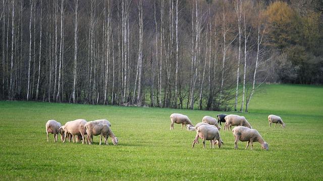 四月適合去哪個國家？