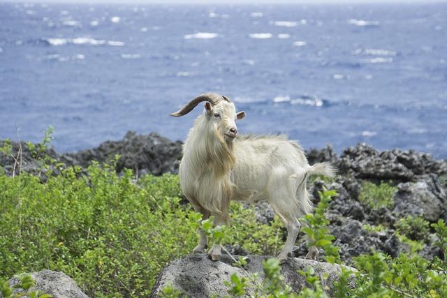 蘭嶼環島一圈多久？