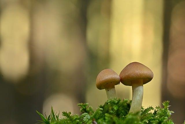 身體虛需要吃什麼？