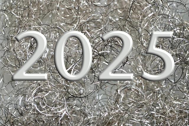 2025做什麼？
