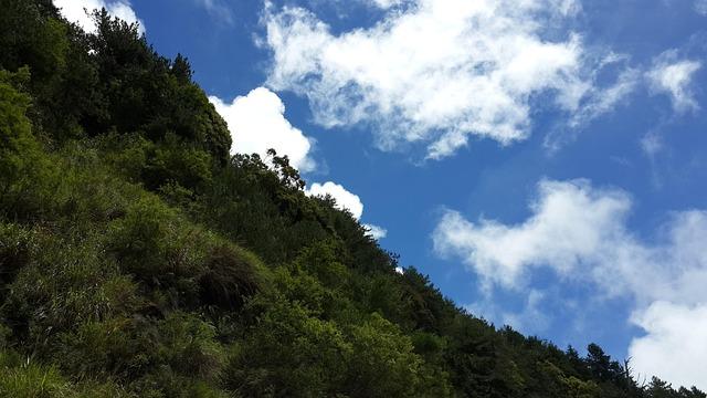 阿里山小火車一天幾班？