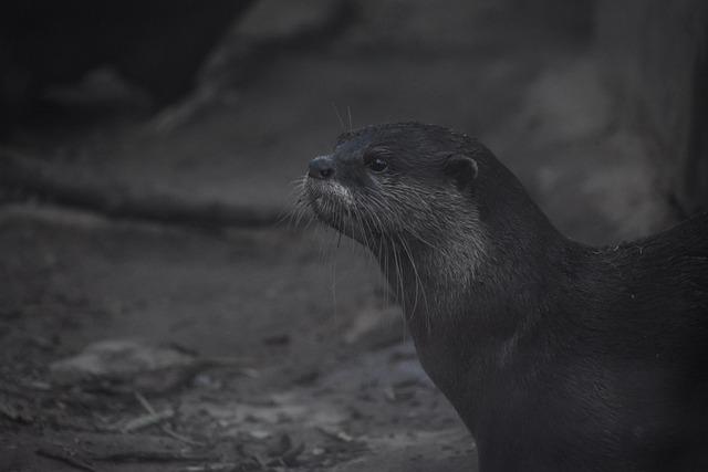 10萬元2分利是多少？