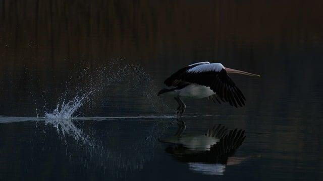 日月潭 甚麼時候去最好？
