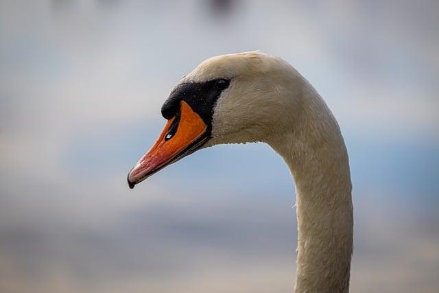 日月潭哪裡可以逛？