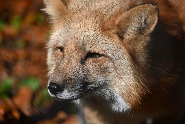 面膜為什麼不能每天敷？