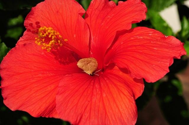 如何氣色變好？