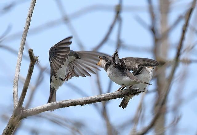 寶寶成長里程碑：一歲身高與辨識媽媽的發展