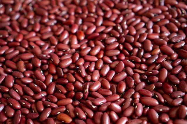 食品機械的使用者滿意度調查案例分析報告是怎樣的？