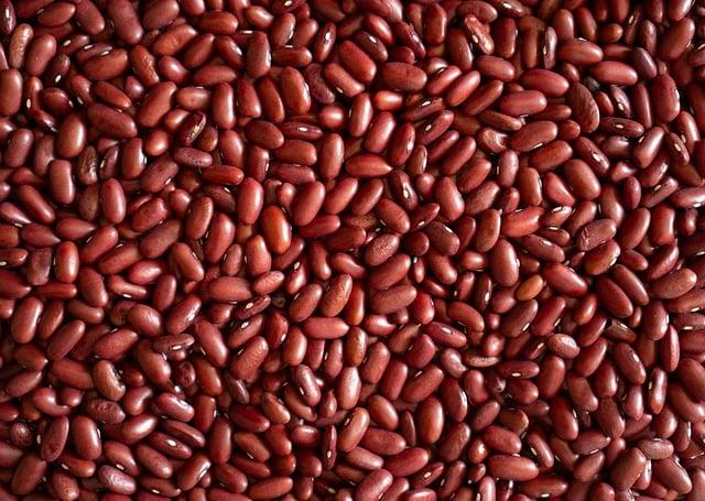 食品機械的行業發展動態案例分析報告是怎樣的？