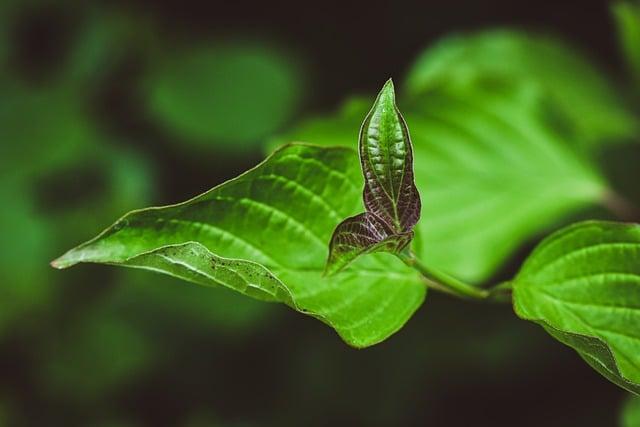 清粉刺毛孔會變大嗎？