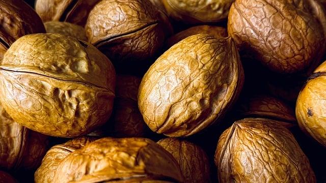 蛋白質攝取不足真的會瘦嗎？ 營養師解析
葉酸與B群：營養補充的黃金搭配