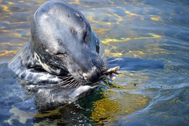 如何過好老年生活：樂齡生活的實用指南

三字成語，妙語連珠：中文詞彙的精華