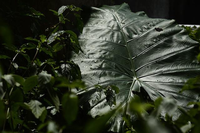 擺脫疲憊：提升活力，你需要這樣做