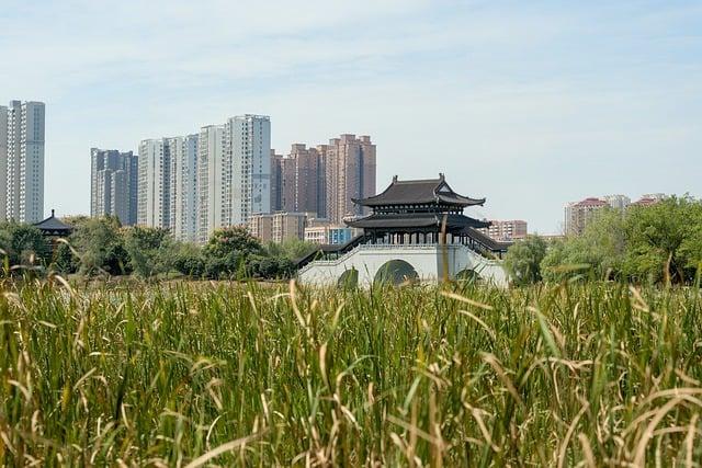國中生理財：探索多元收入的可能性