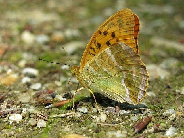 選項一：
銀髮族增強肌耐力：實用指南

選項二：
「蹦」字成語大觀：詞彙運用與解析