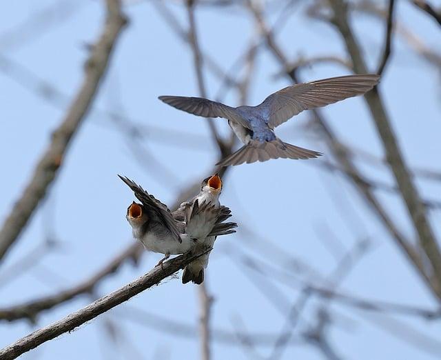 四歲寶貝的禮物指南：啟發成長的精選