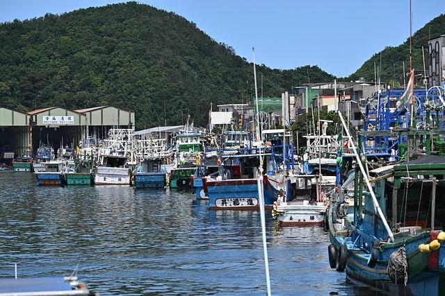滋補暖心：台灣常見養生湯品大揭?