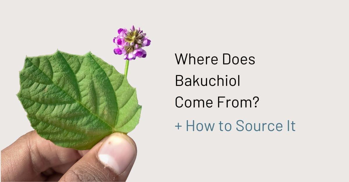 探索肌膚保養新寵：Bakuchiol 與 EGF 的奧?