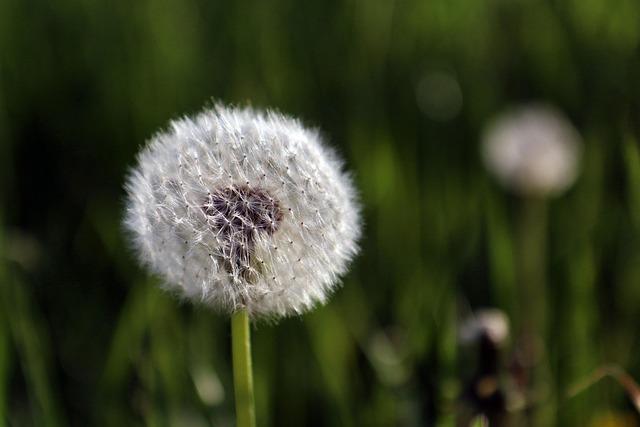 啟蒙寶寶語言力：家長必知的溝通策略