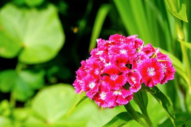 養生之道：為健康生活奠基

升字成語：豐富表達，精準傳意