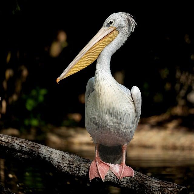 一歲寶寶飲食指南：哪些食物該避開？