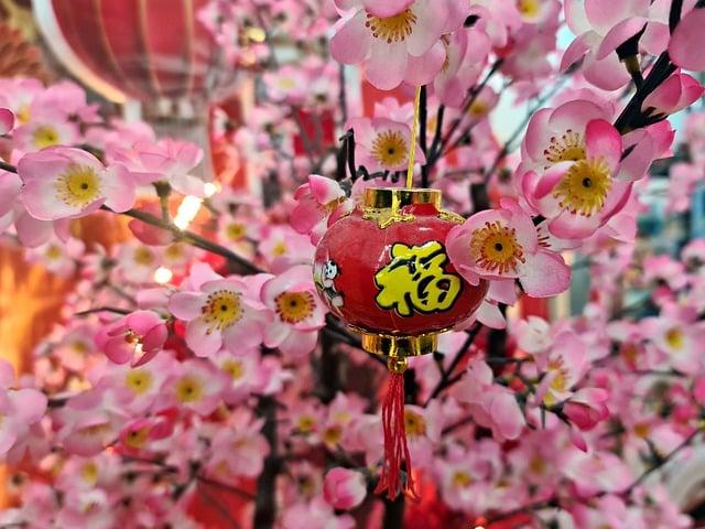 破瓜之年：解開成長的歲月密碼

葉酸與B群：營養補充的聰明搭配