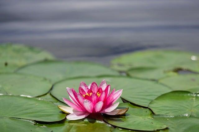 睡覺流口水？ 探究夜間唾液分泌的奧?