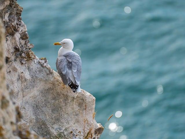 早C晚A保養：肌膚煥新關鍵解析
